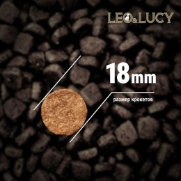 LEO&LUCY сухой холистик корм полнорационный для взрослых собак крупных пород с уткой, тыквой и биодобавками, подходит пожилым, 12 кг