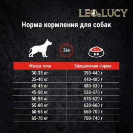 LEO&LUCY сухой холистик корм полнорационный для взрослых собак крупных пород с ягненком, яблоком и биодобавкам, 4.5 кг