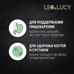 LEO&LUCY сухой холистик корм полнорационный для взрослых собак всех пород с уткой, тыквой и биодобавками, подходит пожилым, 4.5 кг