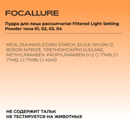 FOCALLURE пудра для лица рассыпчатая Filtered Light Setting Powder, тон: 01 Прозрачный,8.5 г