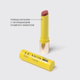 Vivienne Sabo помада-бальзам для губ Baume a levres colore "LEMON CITRON", тон 02, пыльно-коричнево-розовый